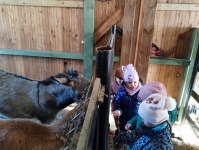 img_20241213_105809012-kopiowanie-jpg1736884372